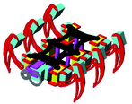 Rys. 4. Projekt 3D robota Heksapod