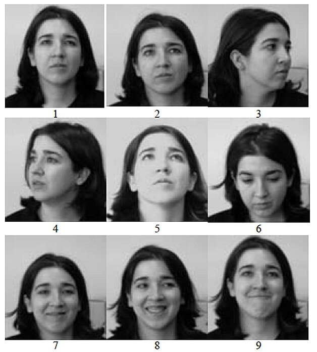 Rys. 7. Ułożenie twarzy odpowiadające kolejnym skanom w bazie GavabDB [2]