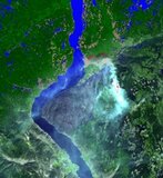 Symulacja płonącego lasu – przykładowy widok [A simulation of forest fire – sample view]