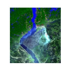 Symulacja płonącego lasu – przykładowy widok [A simulation of forest fire – sample view]